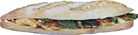CAMPERO2